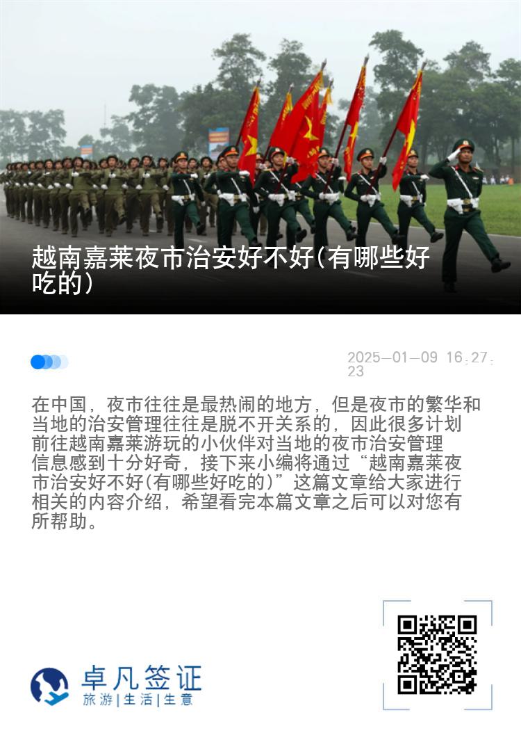 越南嘉莱夜市治安好不好(有哪些好吃的)